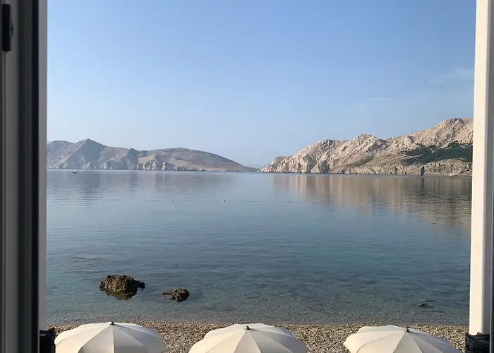 Marija Sersic “narca”